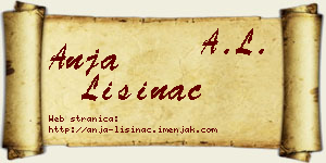 Anja Lisinac vizit kartica